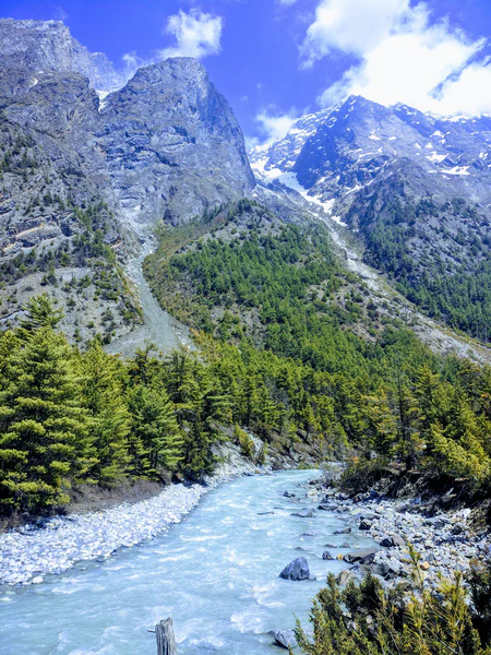 Vue du trek des Annapurnas