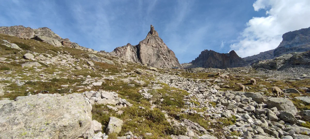 Photo of the Aiguille Dibona and its surroundings