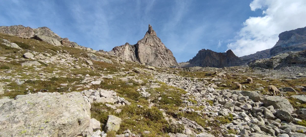 Photo of the Aiguille Dibona and its surroundings